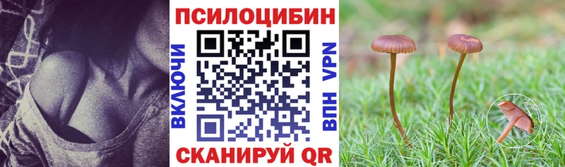где найти Пыть-Ях Галлюциногенные грибы GOLDEN TEACHER